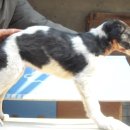 스테이 리네 이미지