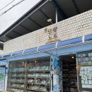 단양 가볼만한곳 소품샵 기념품샵 _ 단양노트 ♪ 내돈내산 방문 후기