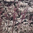 나루역사거리현대약국 이미지