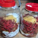 미자농장 이미지