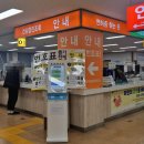 운전면허시험장(특수시험장) | #11 생활 feat. 대구 2025년 자동차 운전 면허증 갱신 / 대구 운전면허시험장 직접 방문 갱신 후기