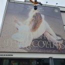 (주)크리에이티브 소프트 | 대림미술관 페트라 콜린스 : fangirl 서촌 무료 전시 추천 겨울 실내데이트 서울 가볼만한 전시