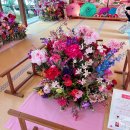 가야금과 고토의 아름다운 만남 | [2026 교토 3월 여행] 즈이신인 매화 축제 개화 시기 🌸매화 정원 7·8일 한정 마르쉐, 하네즈 오도리...