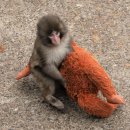 서초대로33길 33 이미지