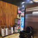 배가왕 송도직영점 | 좋은 품질의 고기를 맛볼 수 있는 송도 센트럴파크 맛집 당산오돌 송도점 방문 후기