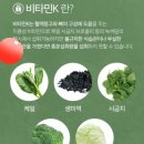 비타민K 네이버블로그