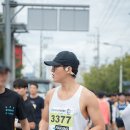 오오티:OUROLDTRAILS광주 | 마라톤 입문 1년차 두번째 광주평화통일마라톤 대회 후기