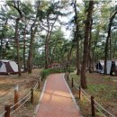 연곡해변 솔향기캠핑장 이미지