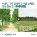 강나루체육공원 이미지
