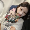 신라요양병원 | 다낭 3박4일 :: 태풍을 부르는 태교여행