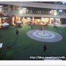 약손본가 이미지