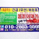 꿀꿀이수산