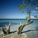 저바다에누워 이미지