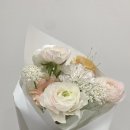 댕스얼랏 이미지