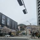 센텀이비인후과의원 이미지