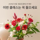 플로리스트(A) | 꾸까(KUKA) 플로리스트 수료증 정규 과정💐