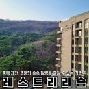 리솜해양레저 | [제천 레스트리 리솜리조트]내돈내산 제천숙박추천, 포레스트 레스트리 주차장 어메니티 체크인꿀팁까지!