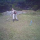 함창 신흥리 이미지