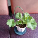 윤슬약국 이미지