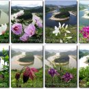 은영세탁소 이미지