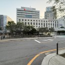 적십자병원 네이버블로그
