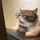 [HD]Python(파이썬) 프로그래밍 입문 제대로 배우기1 | [공지] 해커스 덕분에 자바 준비 후기!! 1주 일차 👩‍💻 - 해커스캠퍼스 자바 JAVA