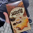 260606 | 동해 뚜벅이 당일치기 여행 | 동해시티투어버스, 무릉별유천지 라벤더축제 사전운영 후기 🪻