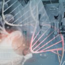 이수메드 이미지