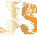 정심종합무술관 이미지