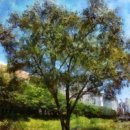 이목쉼터화장실 이미지