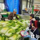 진산농업협동조합 이미지