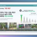 금곡초등학교(병설유치원 포함) 이미지