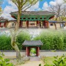 덕진-99 | 전주 여행 가볼 만한 곳 BEST10 인기순 추천｜전주 명소·핫플·여행 코스 총정리