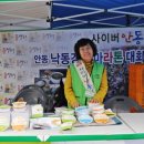 낙동장터