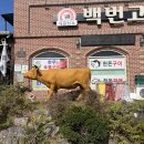 백번고기집본점 이미지