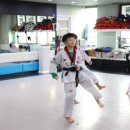 한미태권도장 이미지