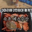 [속초 맛집]속초 홍게 포장 속초 중앙시장 홍게 맛집 2만원대 홍게 포장 후기 예스수산