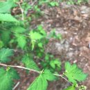 쌍문근린공원 이미지