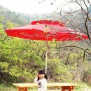 피크닉테이블 이미지