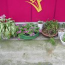 화원세탁소 이미지