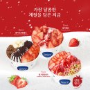 요거트월드광주