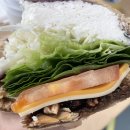 [경산/하양] 샌드위치 맛집 다니상점, 메머드익스프레스 메뉴&amp;솔직후기