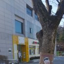 캘러웨이평택베스트원