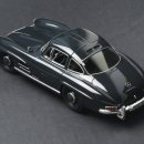 [TAMIYA] Mercedes Benz 300SL Gullwing 이미지