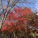 너나들이 | [인천]너나들이캠핑장 방문후기