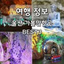 유일목장 | 5월 울산 여행 자수정동굴나라 하늘목장 송운사 국내 여행지 추천