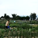 시동농장 이미지