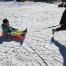 키즈석사태권도 이미지