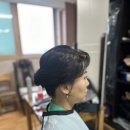 제이알깃