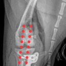 동해동물병원 이미지